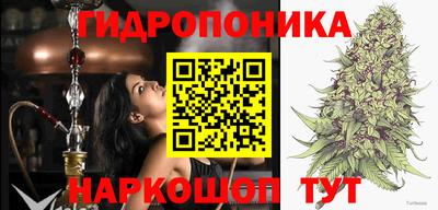 МДПВ Заволжье