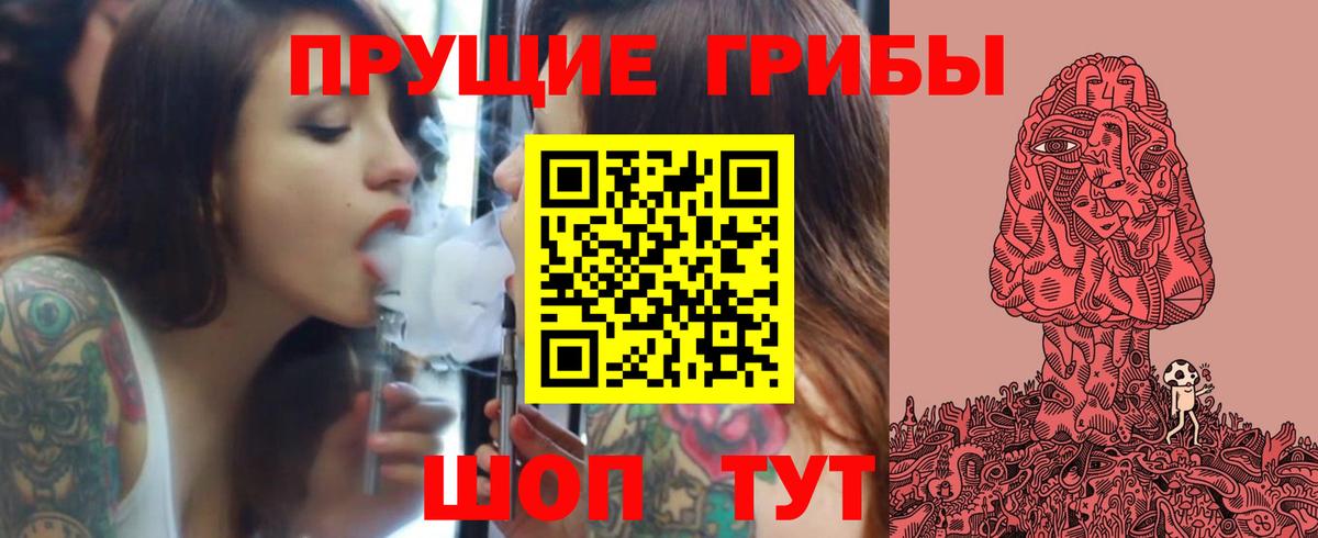 Псилоцибиновые грибы Psilocybe Лесозаводск